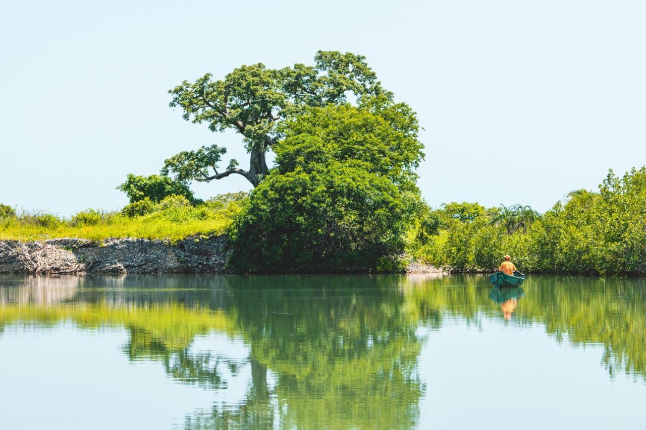 Tamba Kuruba Eco-Lodge Folonko Buitenkant foto
