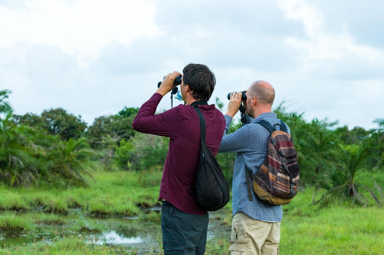 Tamba Kuruba Eco-Lodge Folonko Buitenkant foto